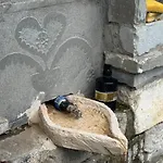 Felau,leuse Gasthuis Përmet