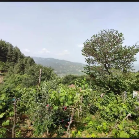 Gest House Felau Guest house Permet