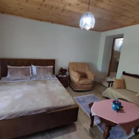 Guest house Gest House Felau Permet