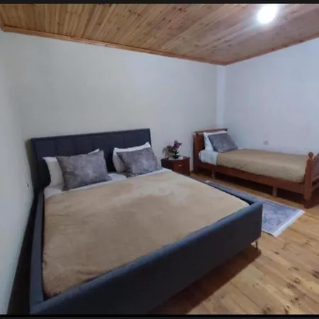 Gest House Felau Permet