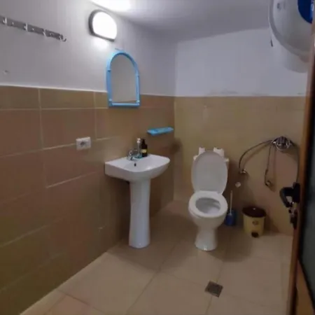 Gest House Felau