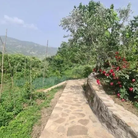Guest house Gest House Felau *