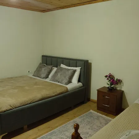 Felau,leuse Guest house Permet