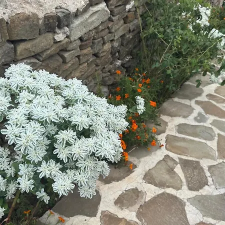 Felau,leuse * Përmet