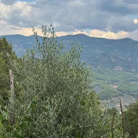 Felau,leuse * Përmet