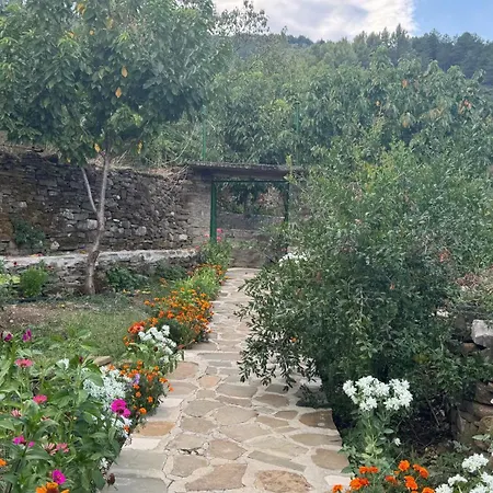 Pensjonat Felau,leuse Përmet