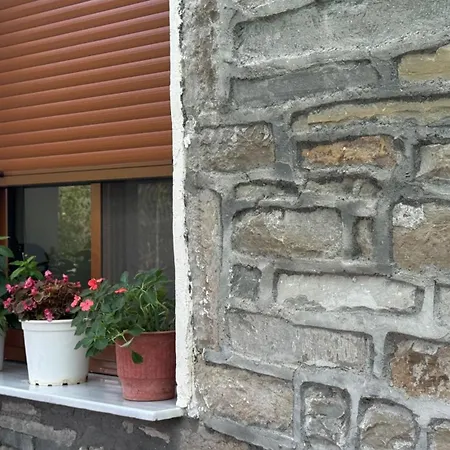 Pensjonat Felau,leuse *