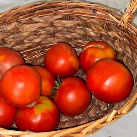 Felau,leuse Pensjonat *