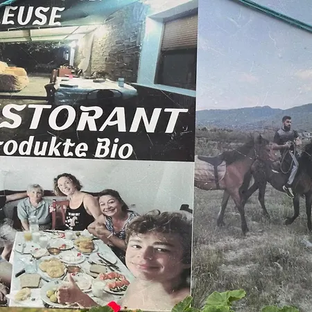 Felau,leuse *
