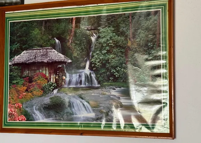Felau,leuse Përmet