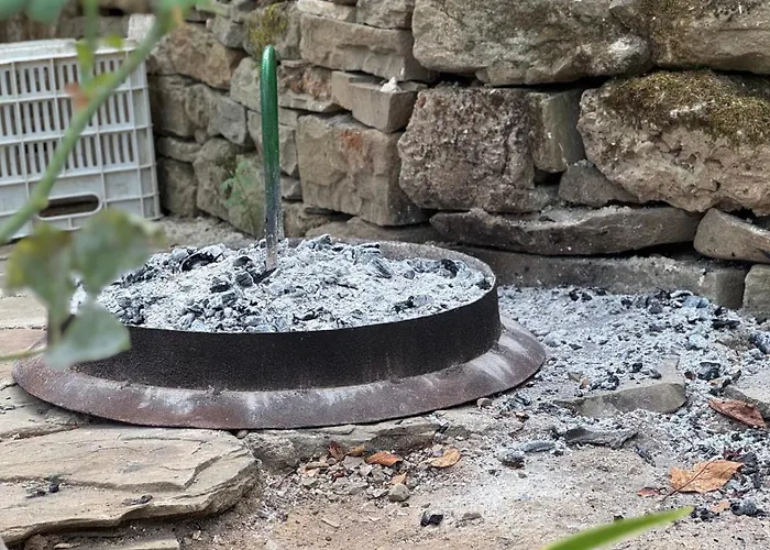 Felau,leuse בית הארחה