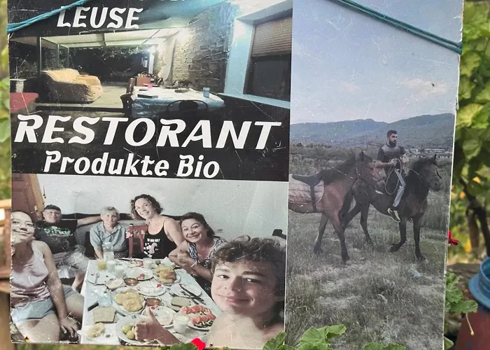 Felau,leuse *