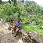 Felau,leuse * Përmet