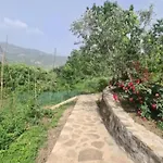 Vendégház Felau,leuse *