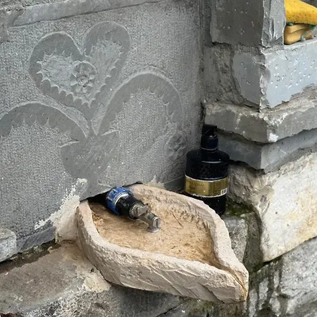 Felau,leuse Гостевой дом Пермети